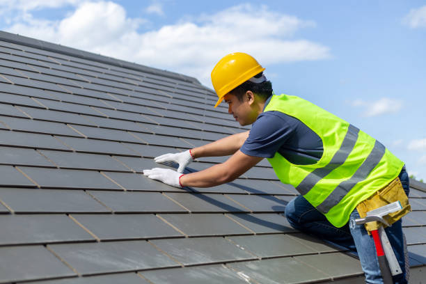 Best Roof Gutter Cleaning  in Cedar Ridge, CA